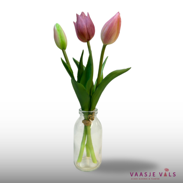 3 Mini (25cm) Tulpjes Roze