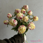 Vorige productafbeelding