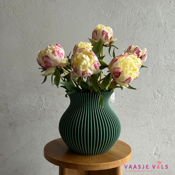 Bos van 3 Pioenen Creme 63cm (M)